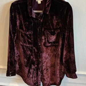 Elegant Velvet Blouse in Rich Purple